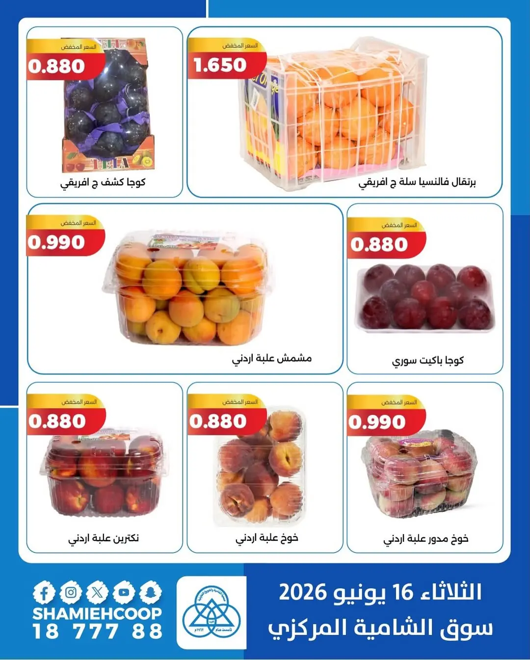 عروض جمعية الشامية والشويخ الثلاثاء ١٦ يونيو ٢٠٢٦ عروض الخضروات والفواكه - جمعية الشامية والشويخ - الكويت - 16 يونيو 2026 – 16 يونيو 2026 - صفحة 5
