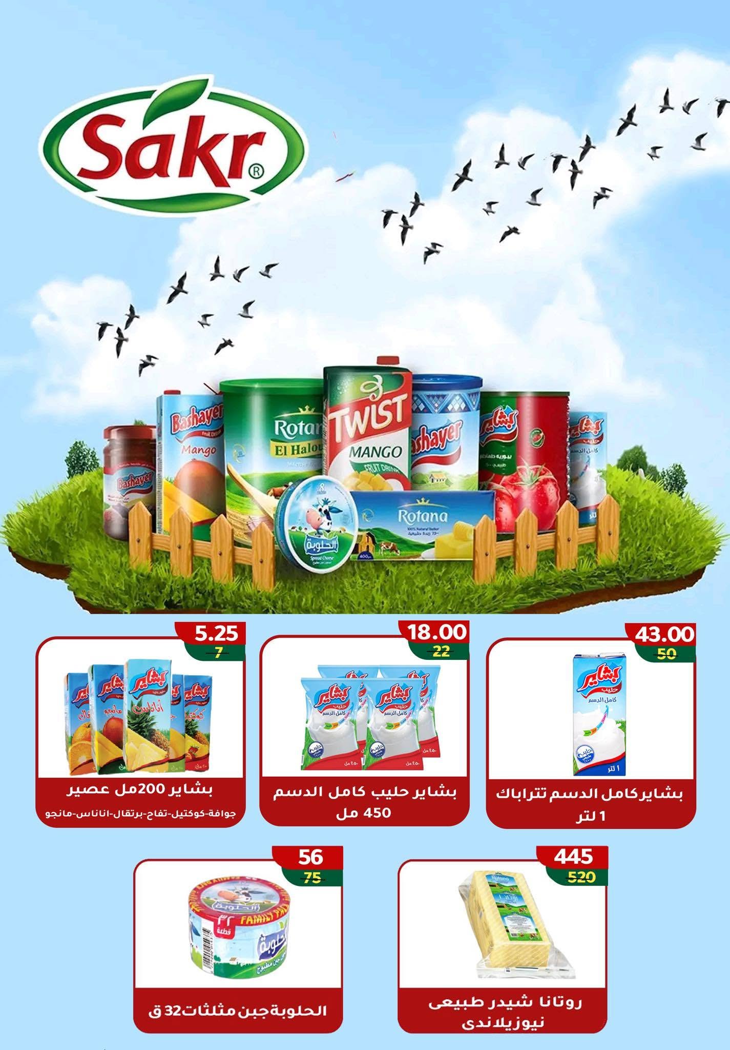 Ofertas de Wekalet Elmansoura Egipto de 16 junio a 11 julio 2026 Ofertas de verano - Wekalet Elmansoura - Egipto - 16 junio 2026 – 11 julio 2026 - Página 10