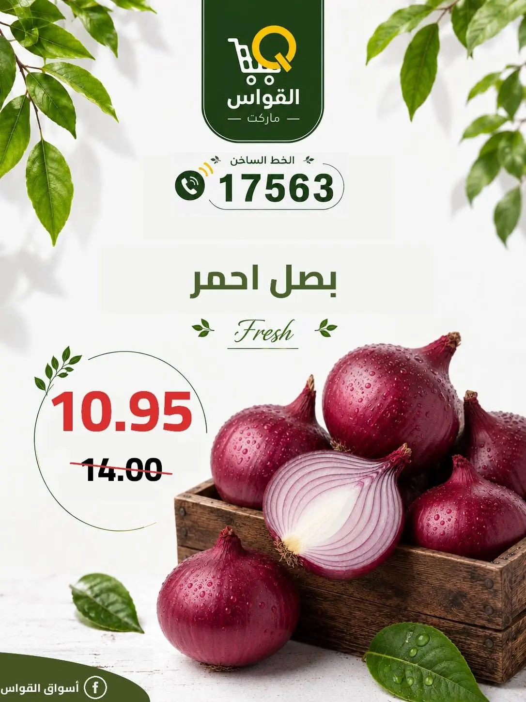 Al Kawas Markets Egypt offers from 18 to 20 June 2026 Weekend Deals - Al Kawas Markets - Egypt - 18 June 2026 – 20 June 2026 - Page 19