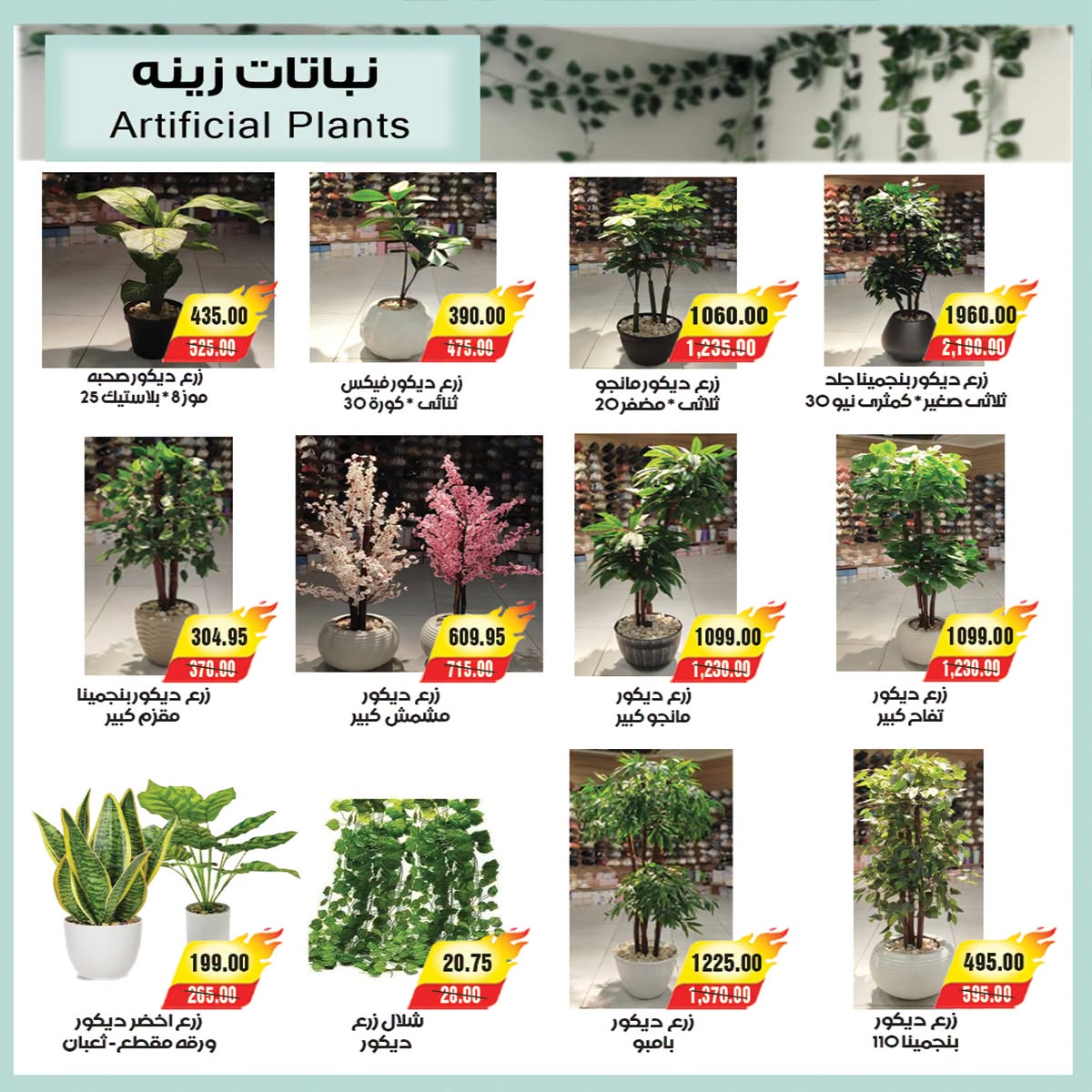 عروض ايه ماركت مصر من ٢٦ يونيو حتى ٣ يوليو ٢٠٢٦ عروض الصيف - ايه ماركت - مصر - 26 يونيو 2026 – 3 يوليو 2026 - صفحة 8
