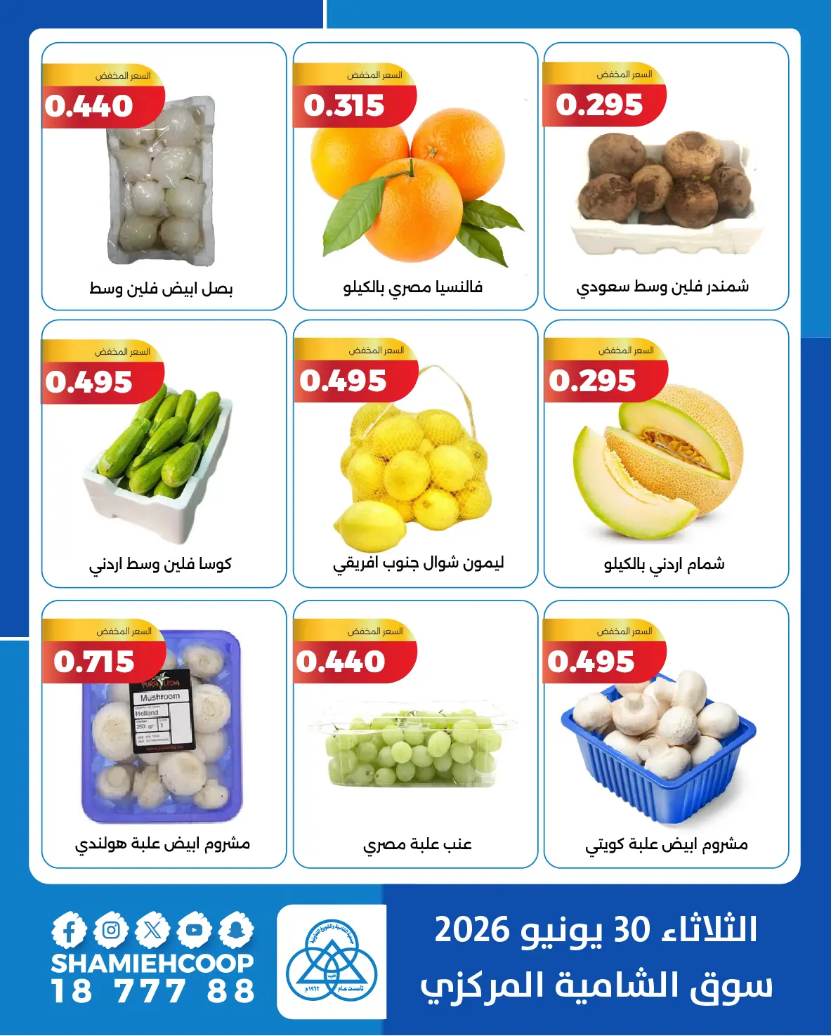 Ofertas de cooperativa shamieh martes 30 junio 2026 Ofertas de frutas y verduras - cooperativa shamieh - Kuwait - 30 junio 2026 – 30 junio 2026 - Página 5