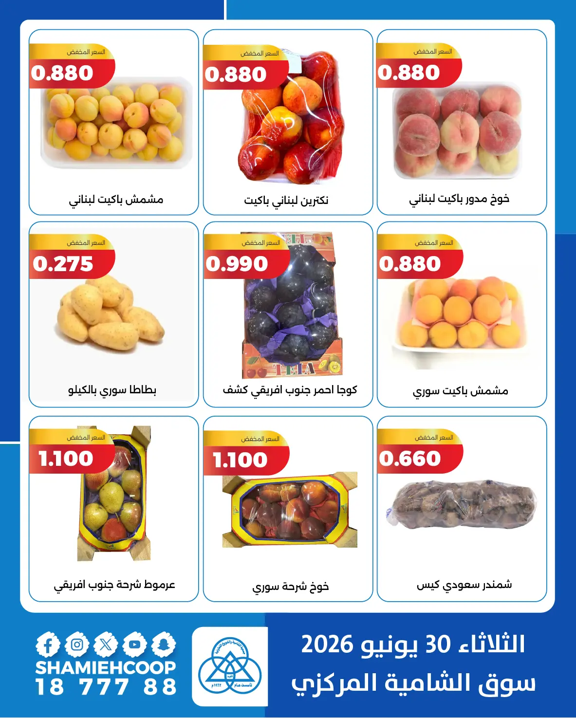 Ofertas de cooperativa shamieh martes 30 junio 2026 Ofertas de frutas y verduras - cooperativa shamieh - Kuwait - 30 junio 2026 – 30 junio 2026 - Página 4