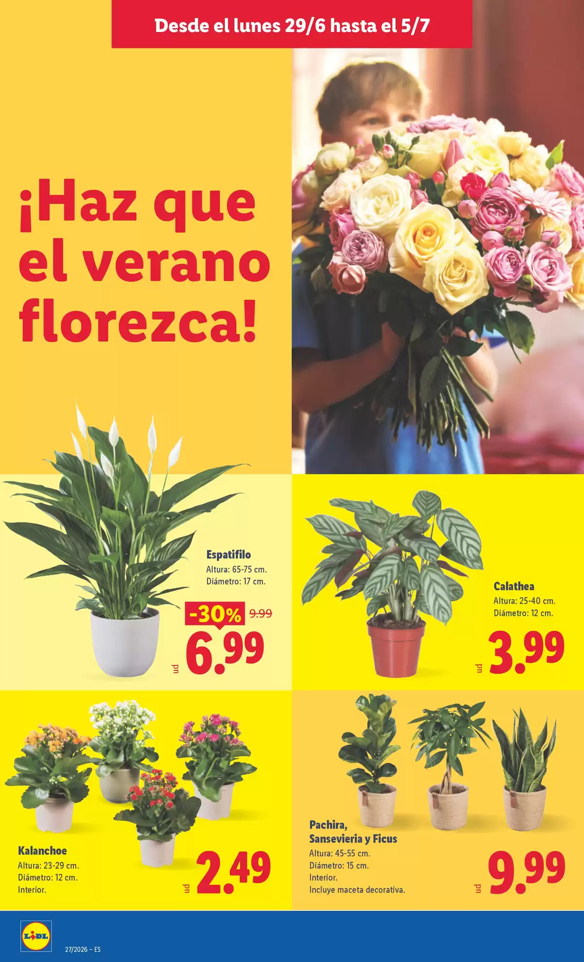 Lidl Spain offers from 29 June to 5 July 2026 Weekly offers - Lidl - Spain - 29 June 2026 – 5 July 2026 - Page 46