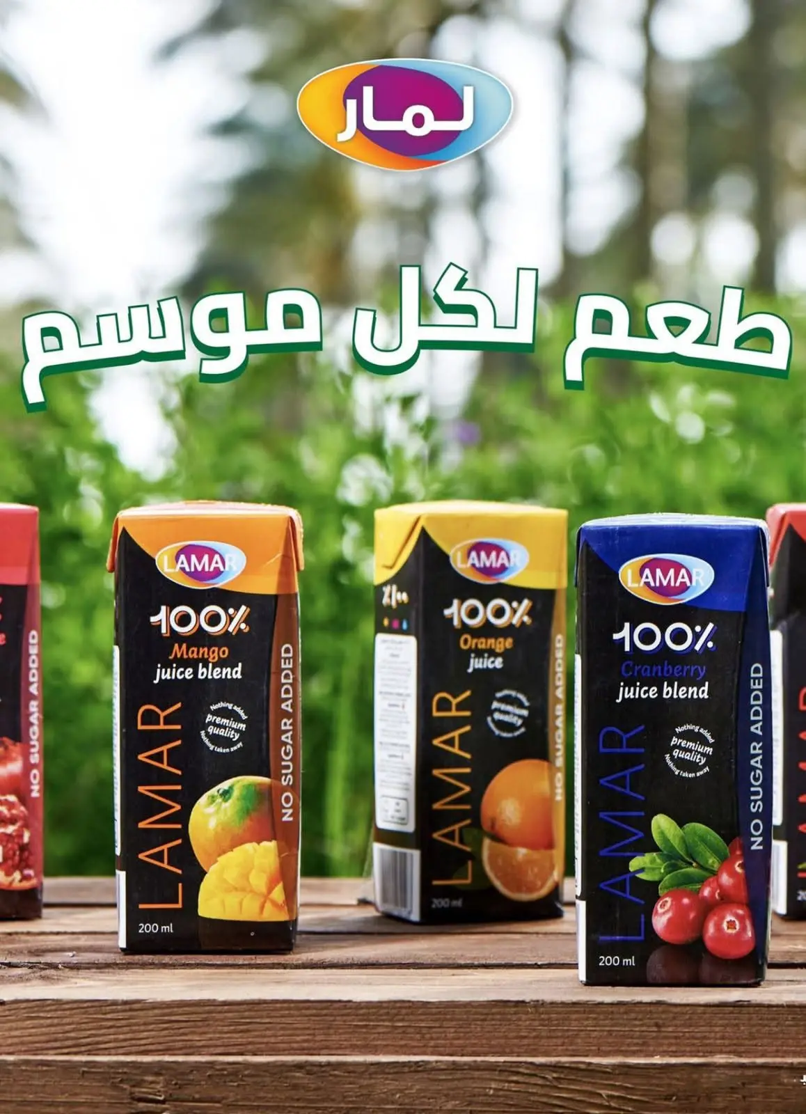 Bassem Market offers in Cairo from 2 to 19 July 2026 Summer Splash - Bassem Market - Egypt - 2 July 2026 – 19 July 2026 - Page 17