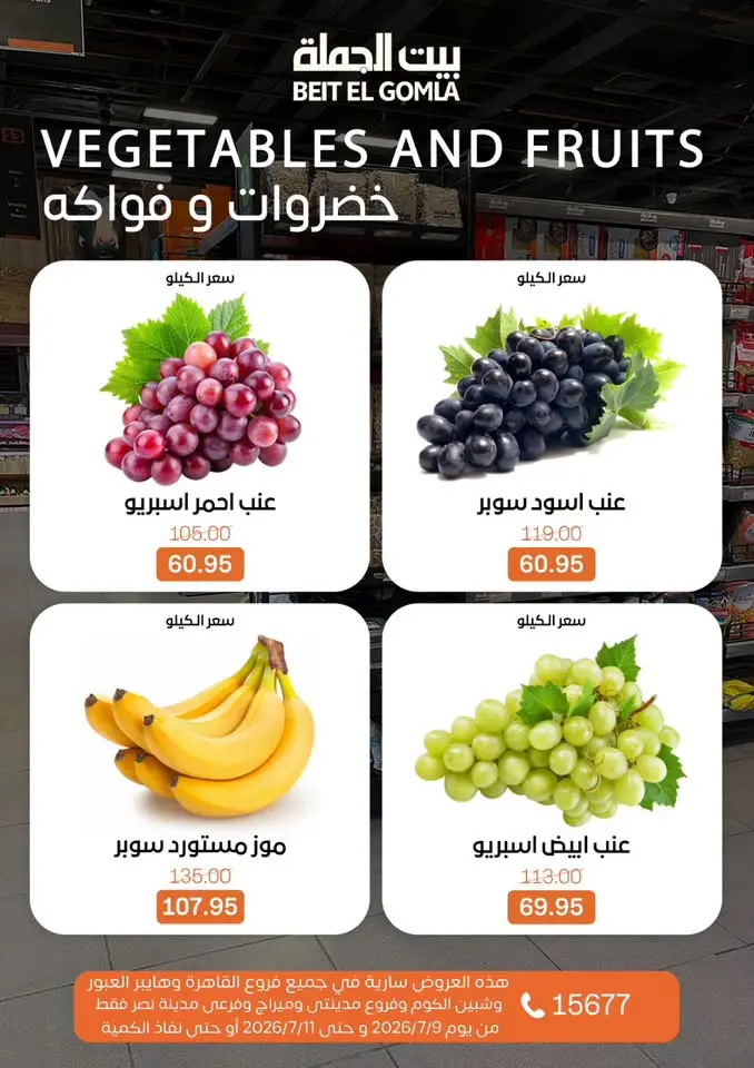 Offres Maison Gomla de 9 à 11 juillet 2026 Offres week-end - Maison Gomla - Egypte - 9 juillet 2026 – 11 juillet 2026 - Page 16