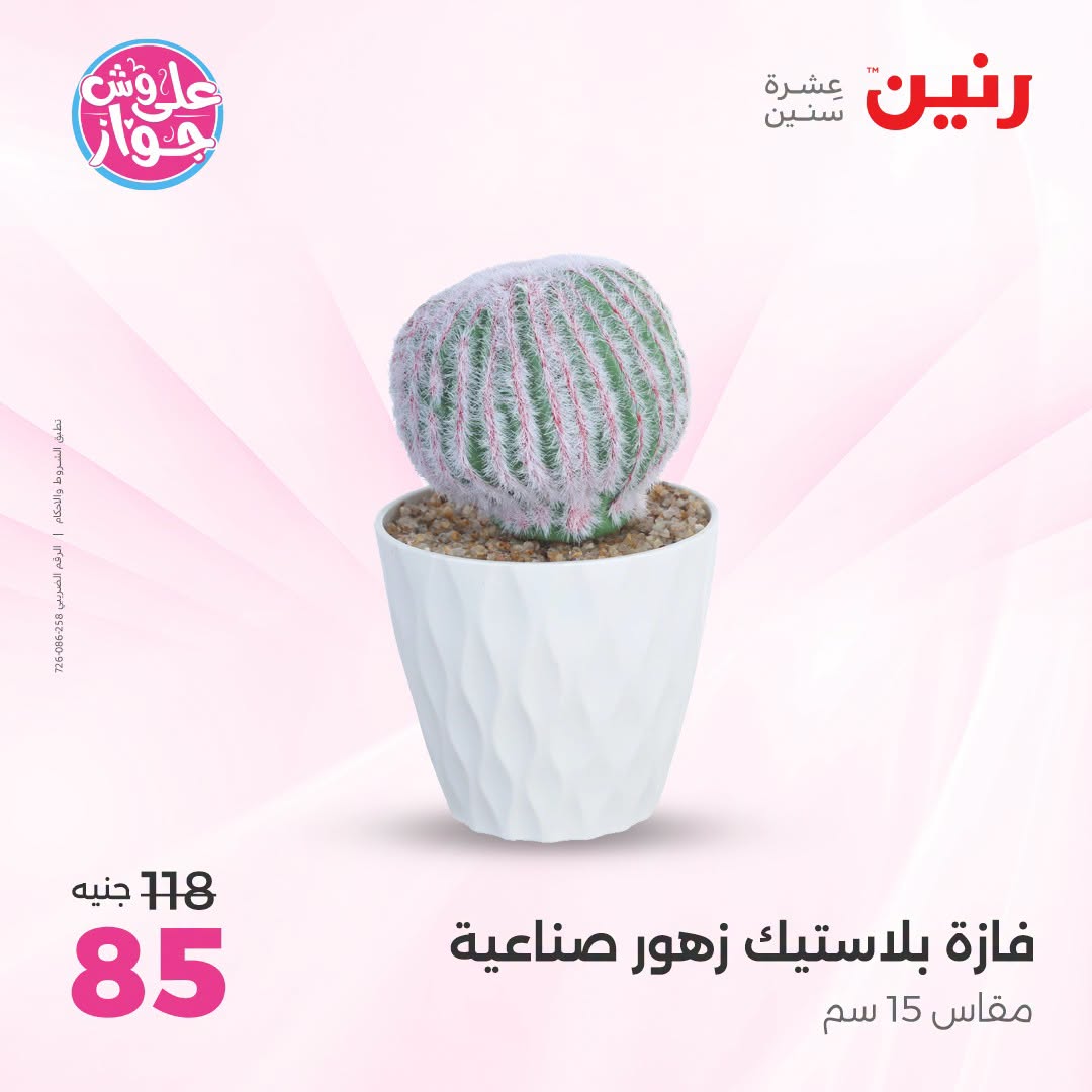 Offres Raneen de 14 à 15 juillet 2026 Offres de Cadeaux et Décorations - Raneen - Egypte - 14 juillet 2026 – 15 juillet 2026 - Page 46