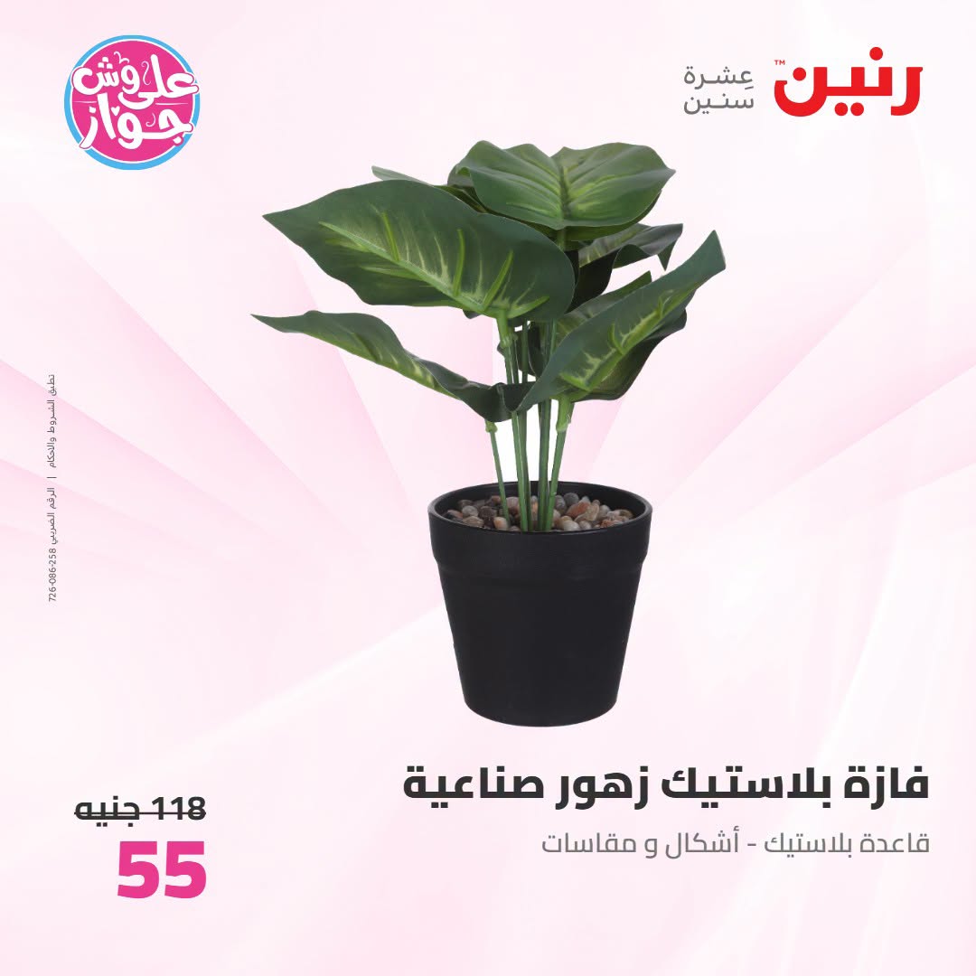 Offres Raneen de 14 à 15 juillet 2026 Offres de Cadeaux et Décorations - Raneen - Egypte - 14 juillet 2026 – 15 juillet 2026 - Page 43