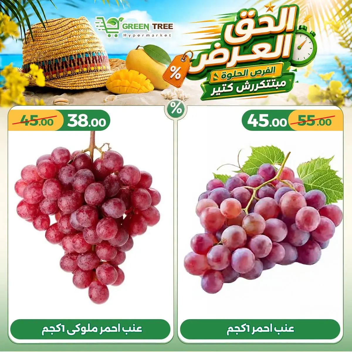 عروض جرين ترى مصر من ١٦ حتى ١٩ يوليو ٢٠٢٦ عروض لفترة محدودة - جرين ترى - مصر - 16 يوليو 2026 – 19 يوليو 2026 - صفحة 2