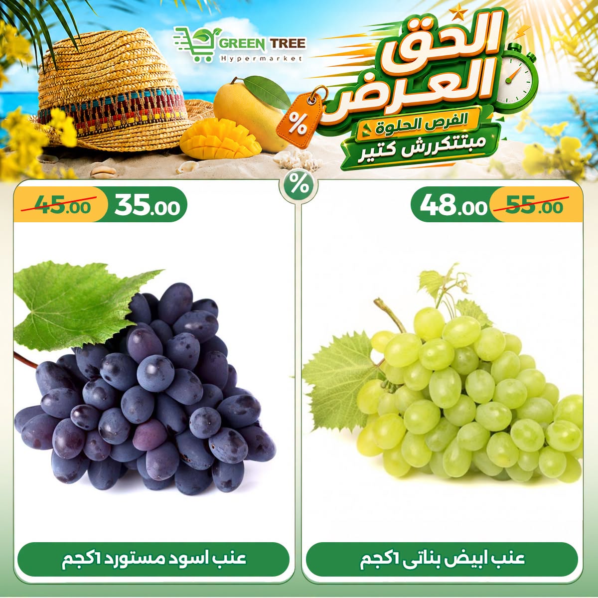 عروض جرين ترى مصر من ١٦ حتى ١٩ يوليو ٢٠٢٦ عروض لفترة محدودة - جرين ترى - مصر - 16 يوليو 2026 – 19 يوليو 2026 - صفحة 3