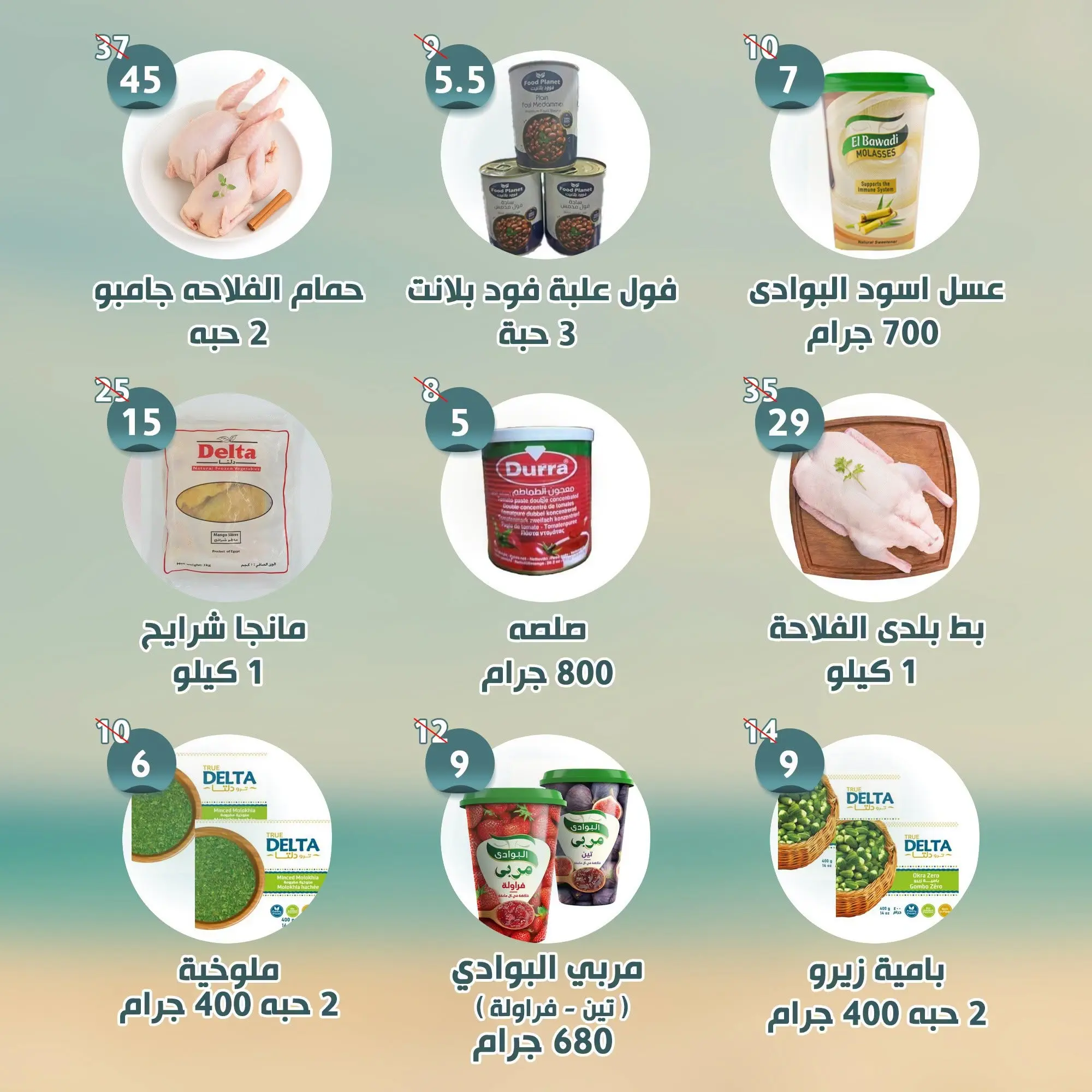 عروض النهضة المصرية بفرع أبوظبي من ٢٤ حتى ٣٠ يوليو ٢٠٢٦ العروض الأسبوعية - النهضة المصرية - الإمارات - 24 يوليو 2026 – 30 يوليو 2026 - صفحة 4