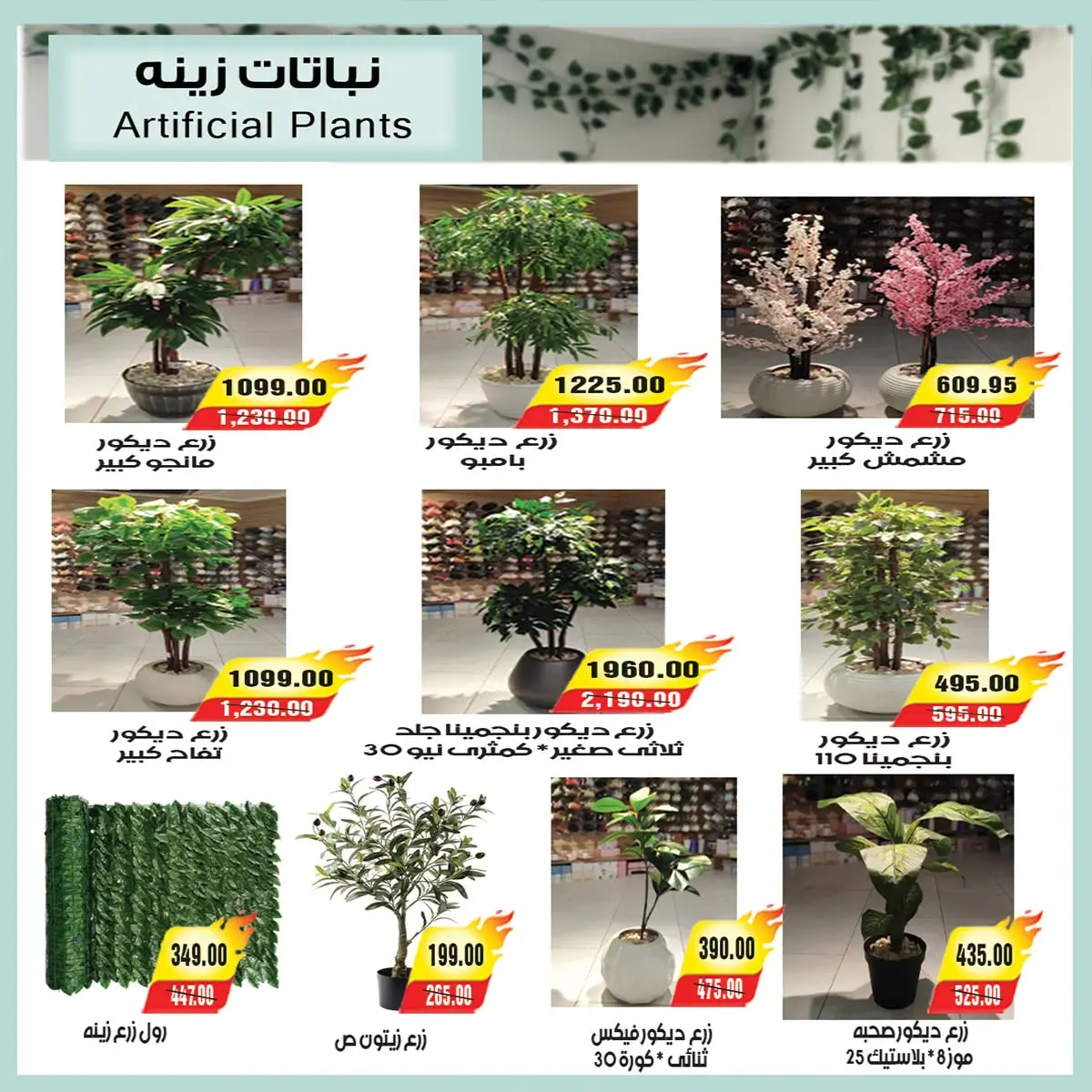 عروض ايه ماركت مصر من ٢٦ يوليو حتى ٣ أغسطس ٢٠٢٦ عروض الصيف - ايه ماركت - مصر - 26 يوليو 2026 – 3 اغسطس 2026 - صفحة 44