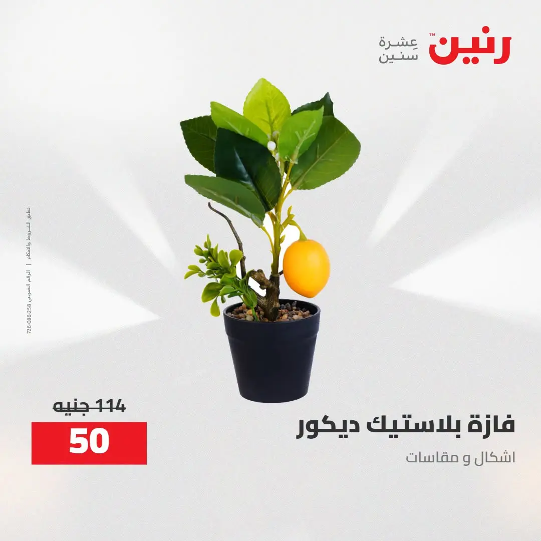 Ofertas de Raneen de 2 a 3 agosto 2026 Ofertas de Regalos y Decoraciones - Raneen - Egipto - 2 agosto 2026 – 3 agosto 2026 - Página 60
