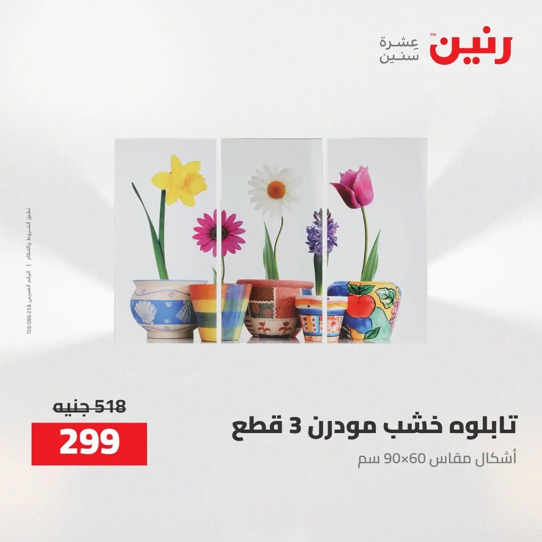 Ofertas de Raneen de 2 a 3 agosto 2026 Ofertas de Regalos y Decoraciones - Raneen - Egipto - 2 agosto 2026 – 3 agosto 2026 - Página 11