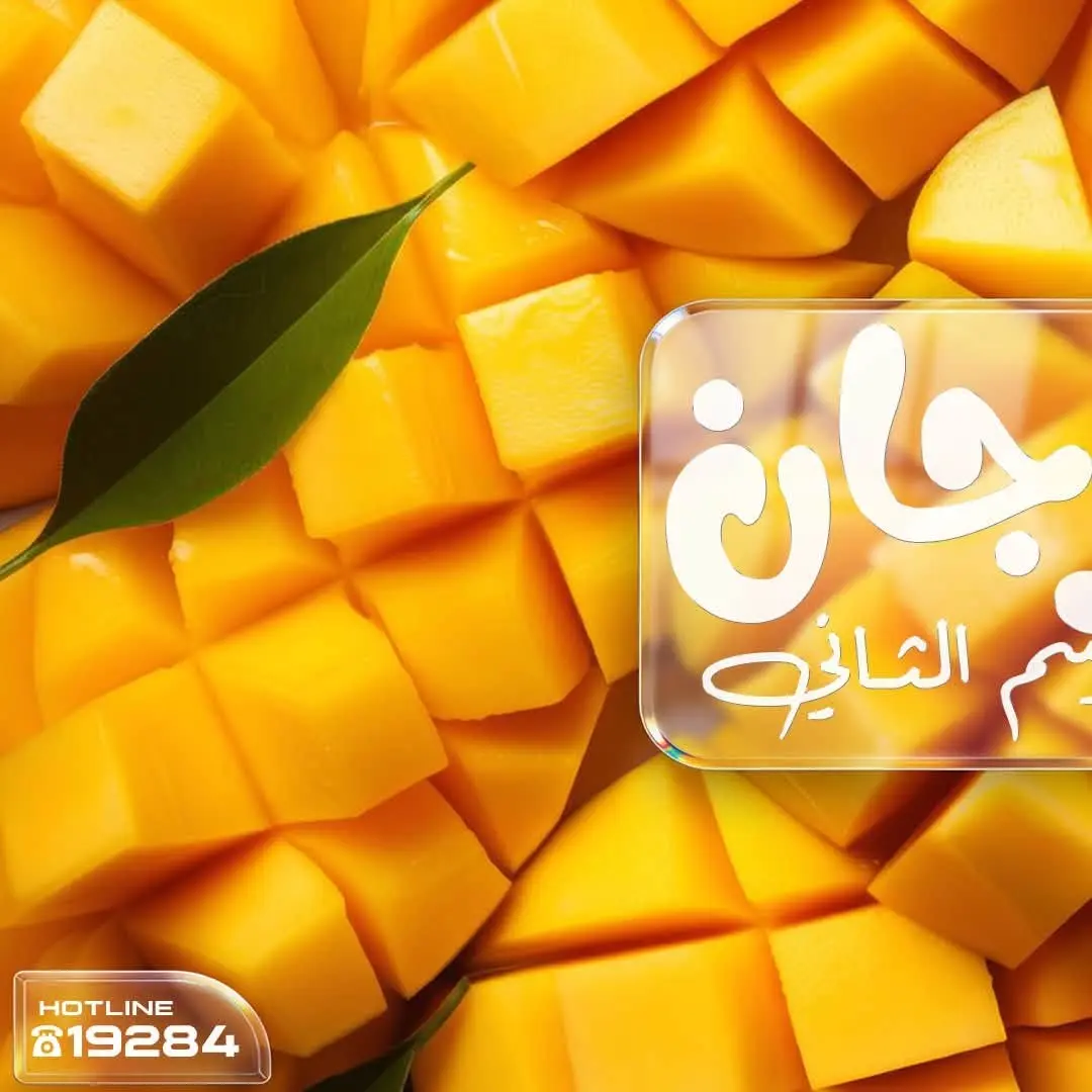 عروض عرفة ماركت مصر من ١٣ حتى ١٤ أغسطس ٢٠٢٦ مهرجان المانجو - عرفة ماركت - مصر - 13 اغسطس 2026 – 14 اغسطس 2026 - صفحة 2