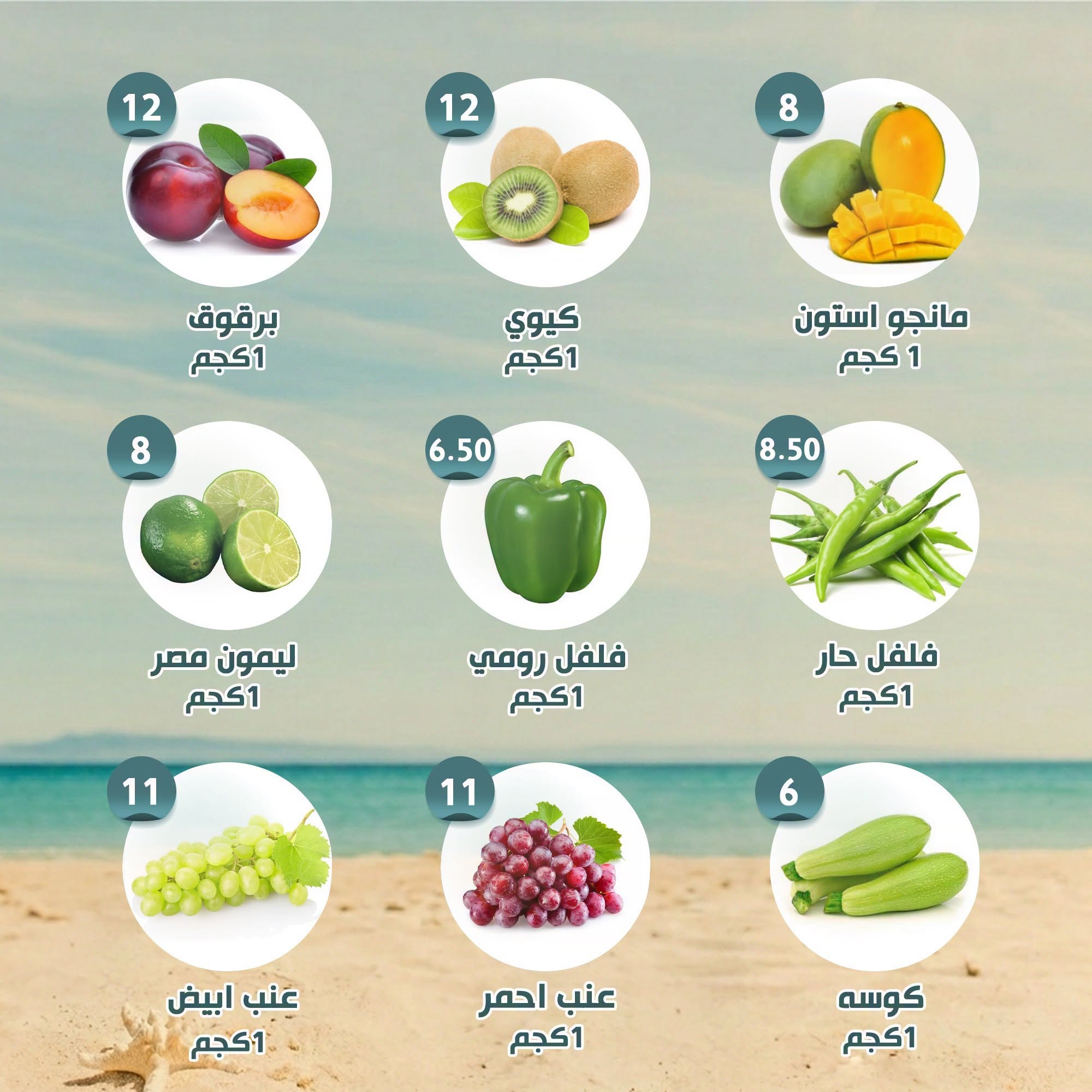 عروض النهضة المصرية بفرع أبوظبي من ١٤ حتى ٢٠ أغسطس ٢٠٢٦ العرض الأسبوعى - النهضة المصرية - الإمارات - 14 اغسطس 2026 – 20 اغسطس 2026 - صفحة 7