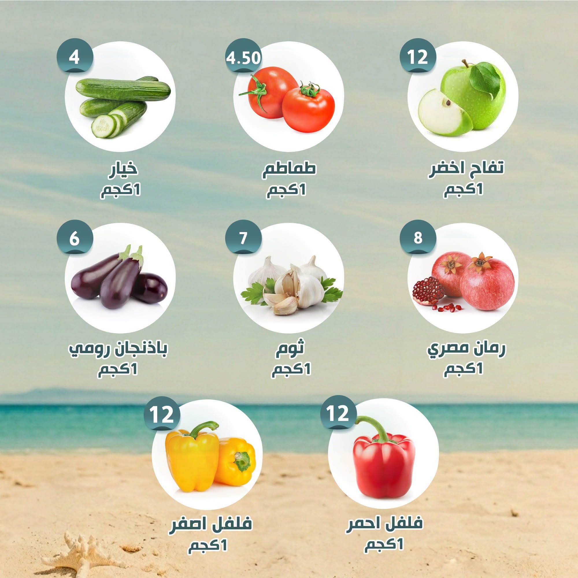 عروض النهضة المصرية بفرع أبوظبي من ١٤ حتى ٢٠ أغسطس ٢٠٢٦ العرض الأسبوعى - النهضة المصرية - الإمارات - 14 اغسطس 2026 – 20 اغسطس 2026 - صفحة 8