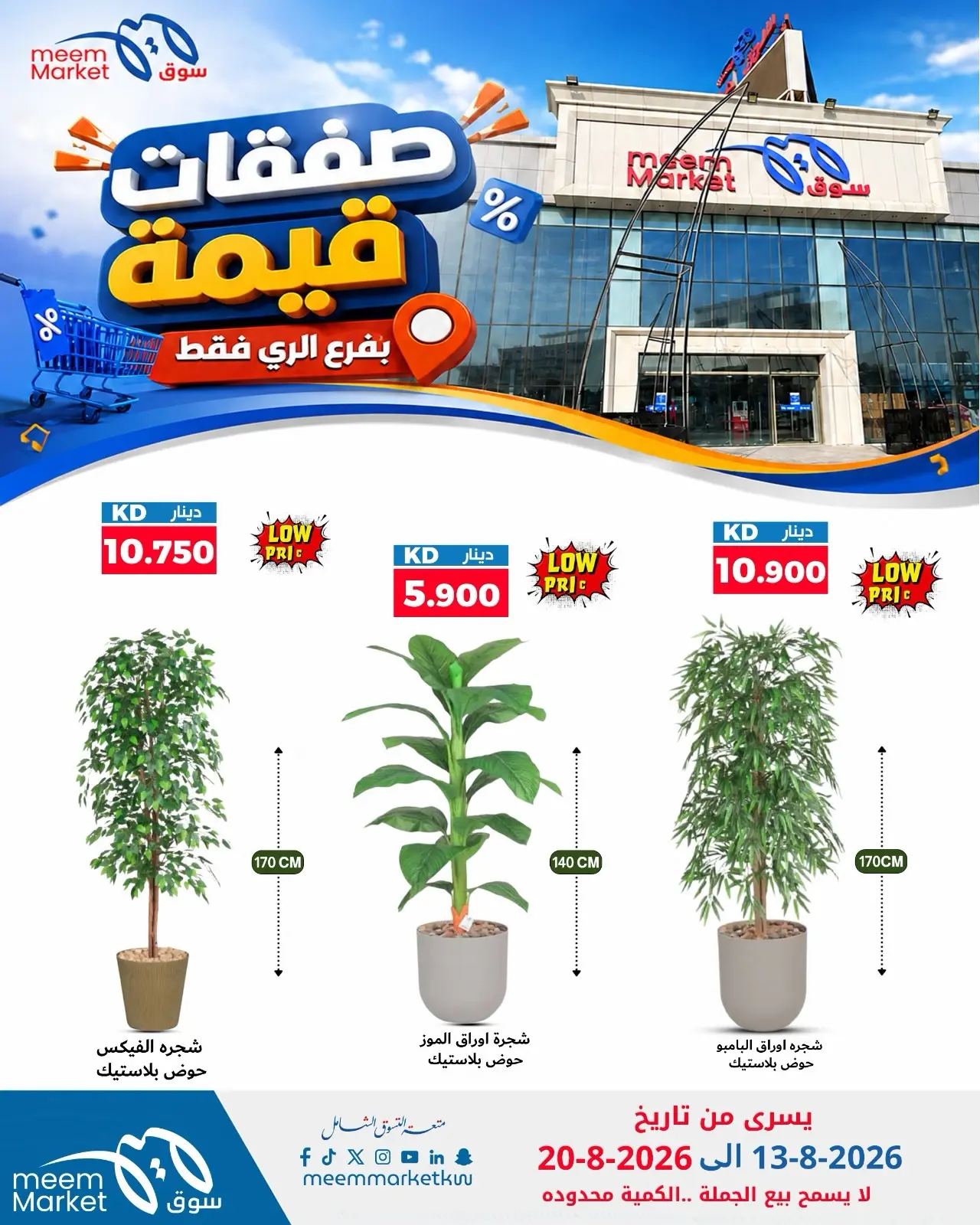 Meem Market offers in Alray from 13 to 20 August 2026 Value Deals - Meem Market - Kuwait - 13 August 2026 – 20 August 2026 - Page 13