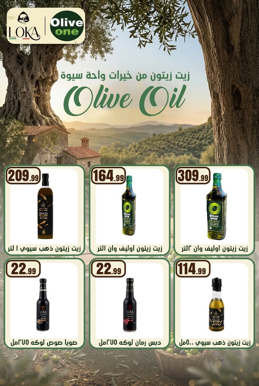 عروض المحلاوى ستورز من ١٣ حتى ١٩ أغسطس ٢٠٢٦ عروض المولد النبوي الشريف - المحلاوى ستورز - مصر - 13 اغسطس 2026 – 19 اغسطس 2026 - صفحة 53