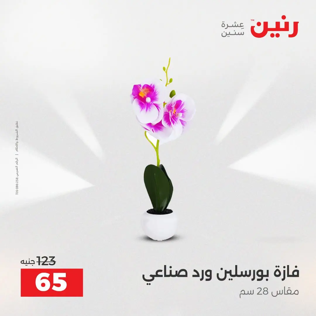 Raneen offers from 16 to 17 August 2026 Gifts and Decorations Offers - Raneen - Egypt - 16 August 2026 – 17 August 2026 - Page 69