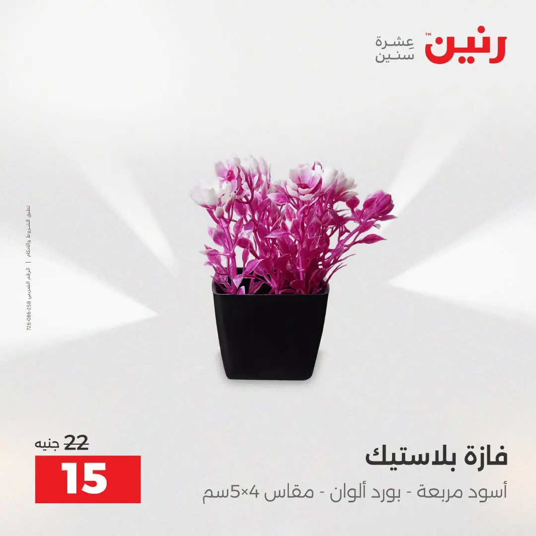 Raneen offers from 16 to 17 August 2026 Gifts and Decorations Offers - Raneen - Egypt - 16 August 2026 – 17 August 2026 - Page 62
