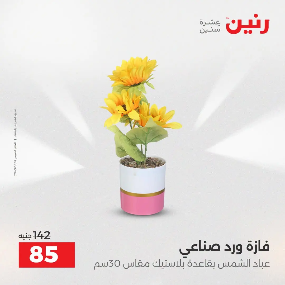 Raneen offers from 16 to 17 August 2026 Gifts and Decorations Offers - Raneen - Egypt - 16 August 2026 – 17 August 2026 - Page 68