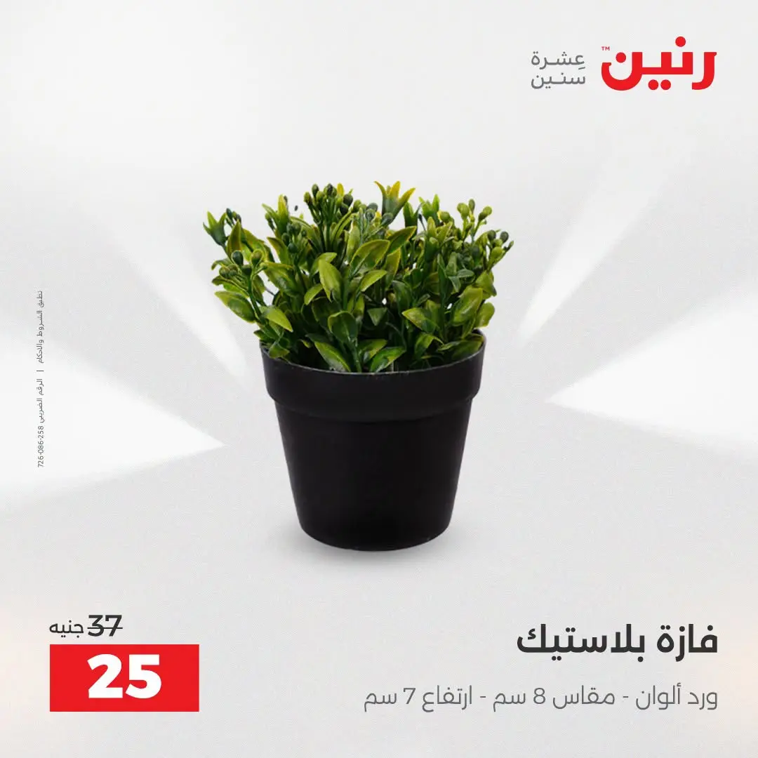 Raneen offers from 16 to 17 August 2026 Gifts and Decorations Offers - Raneen - Egypt - 16 August 2026 – 17 August 2026 - Page 60