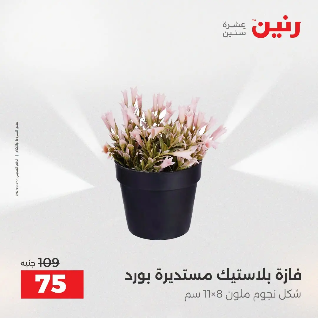 Raneen offers from 16 to 17 August 2026 Gifts and Decorations Offers - Raneen - Egypt - 16 August 2026 – 17 August 2026 - Page 61