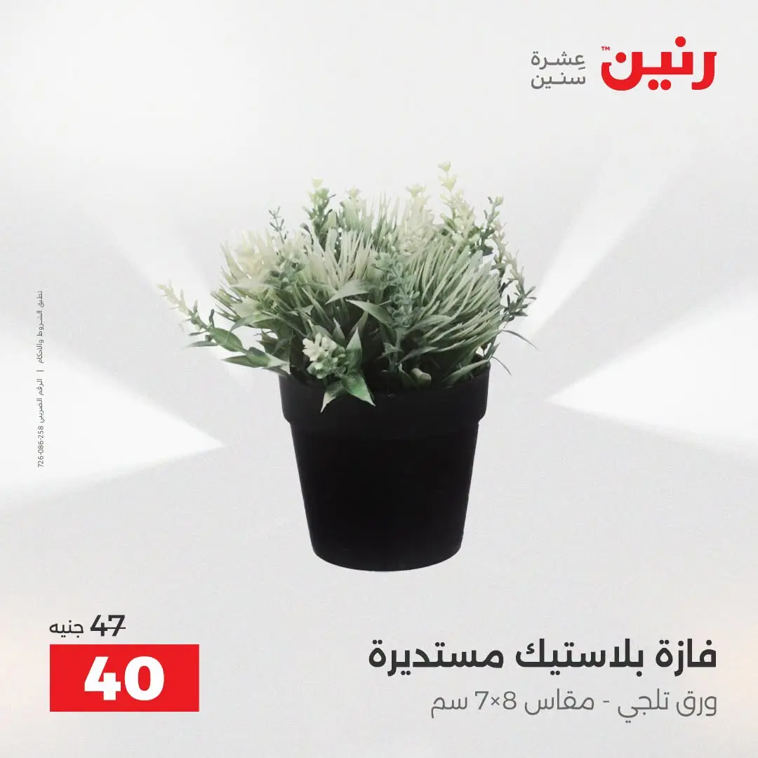Raneen offers from 16 to 17 August 2026 Gifts and Decorations Offers - Raneen - Egypt - 16 August 2026 – 17 August 2026 - Page 65