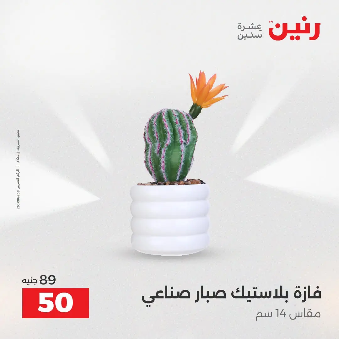 عروض رنين من ٢٥ حتى ٢٦ أغسطس ٢٠٢٦ عروض هدايا وديكورات - رنين - مصر - 25 اغسطس 2026 – 26 اغسطس 2026 - صفحة 29