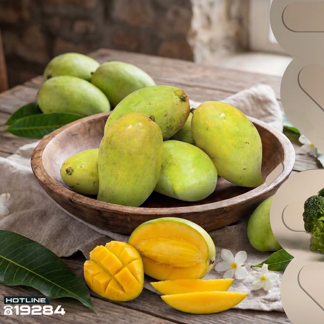 عروض عرفة ماركت بفرع الفيوم الثلاثاء ١ سبتمبر ٢٠٢٦ عروض شادر الثلاثاء - عرفة ماركت - مصر - 1 سبتمبر 2026 – 1 سبتمبر 2026 - صفحة 2