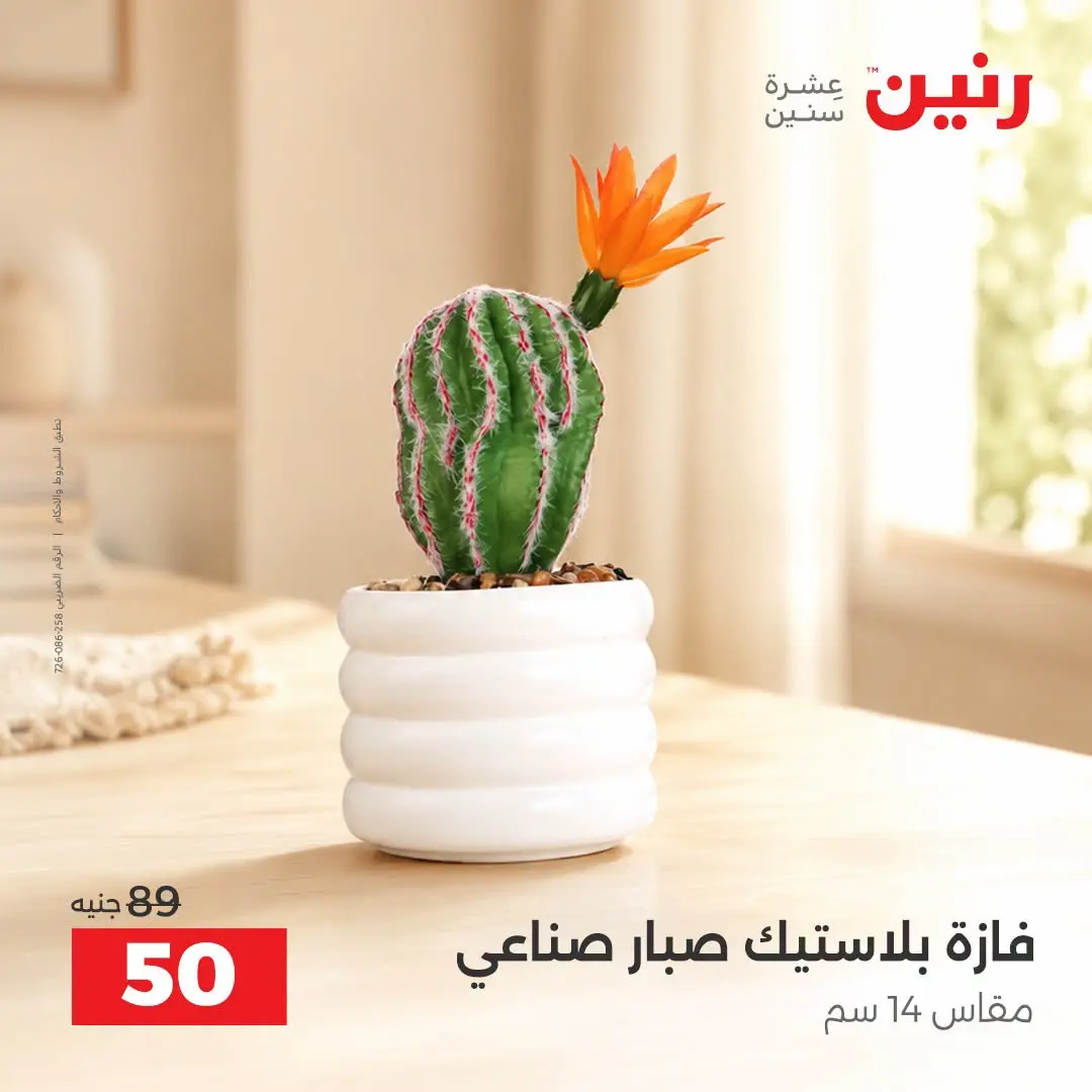 Raneen offers from 3 to 5 September 2026 Gifts and Decorations Offers - Raneen - Egypt - 3 September 2026 – 5 September 2026 - Page 38